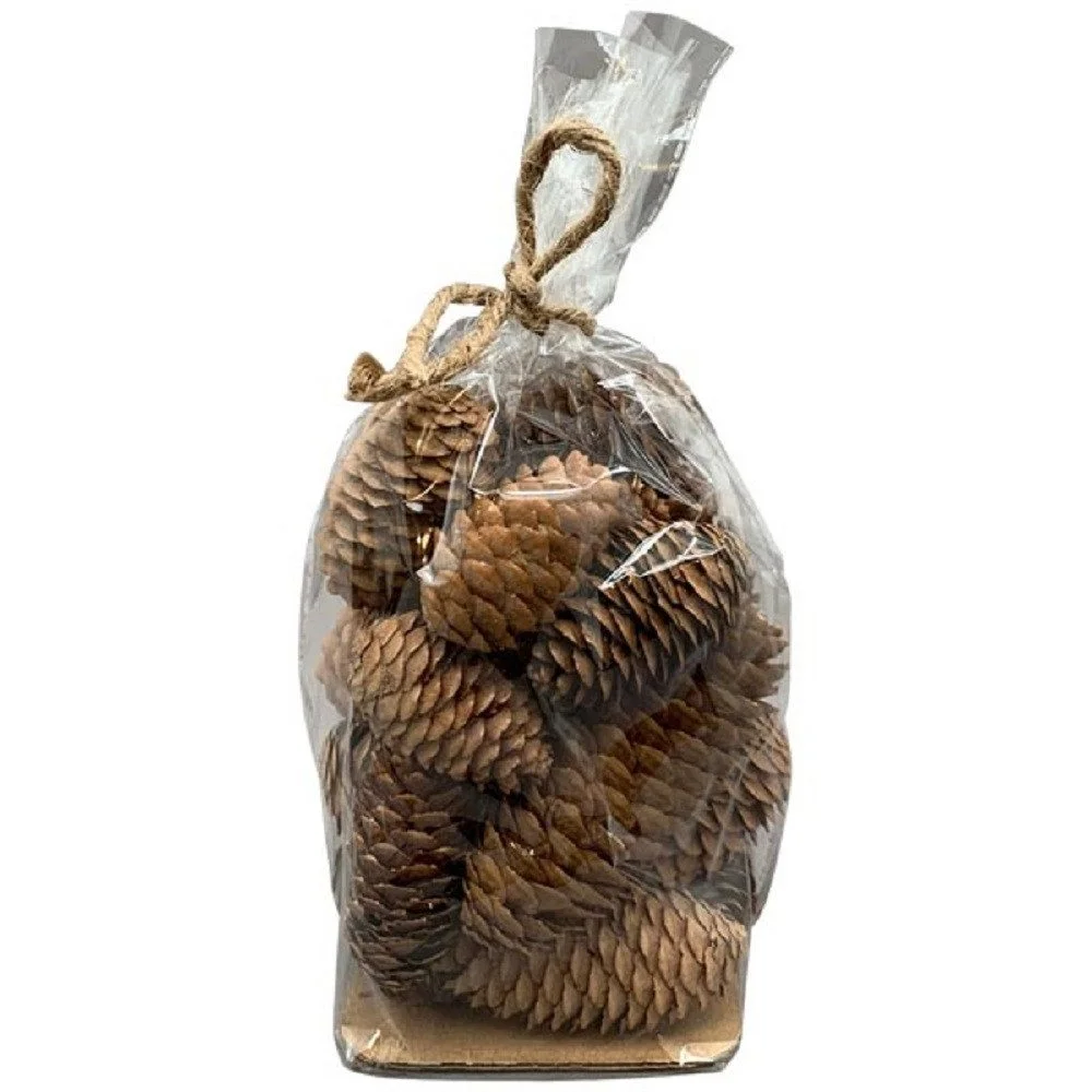 EXNER Dekoobjekt – Zapfen *Aride*, natur (257043)