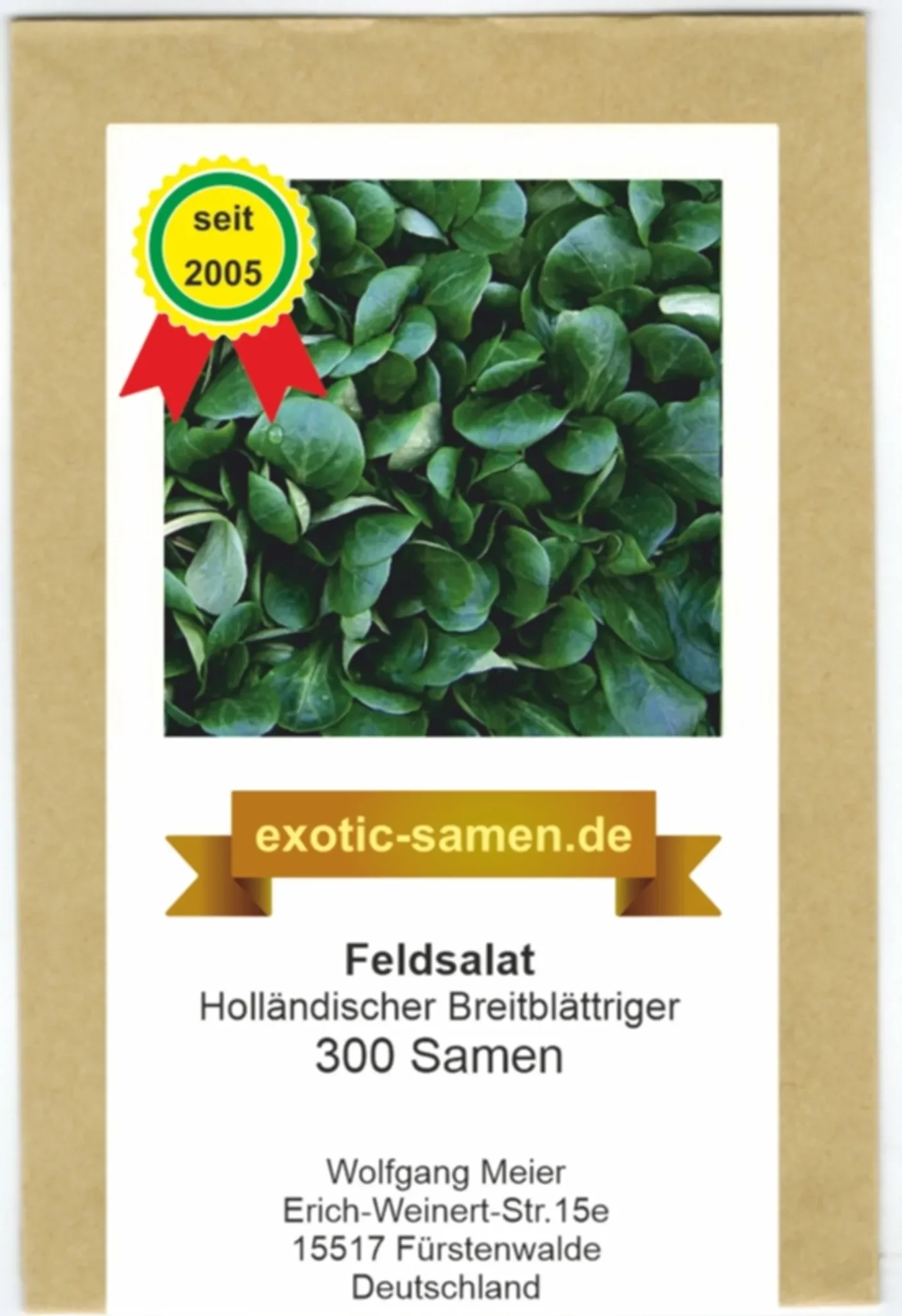 Feldsalat „Holländischer Breitblättriger“ – Rapunzel – ertragreicher Wintersalat, ca. 300 Samen